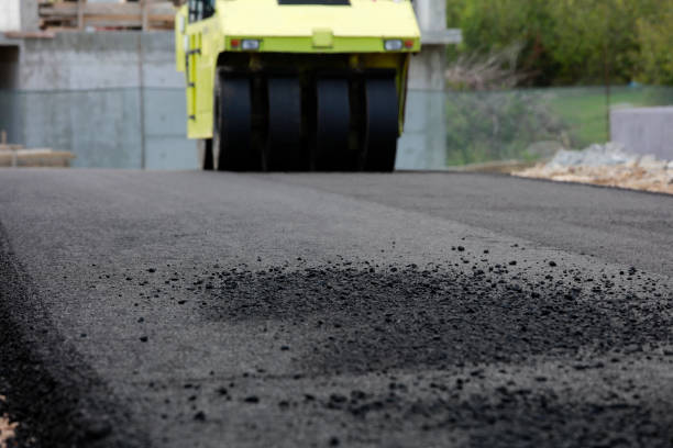 Best Professional Driveway Pavers  in Sidney, MT