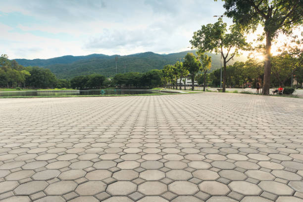 Best Residential Paver Driveway  in Sidney, MT